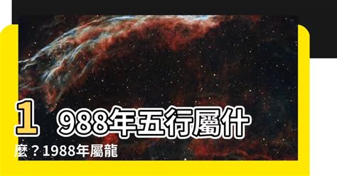 1988 屬什麼|【1988年五行】1988年五行屬什麼？龍年出生五行缺什麼？